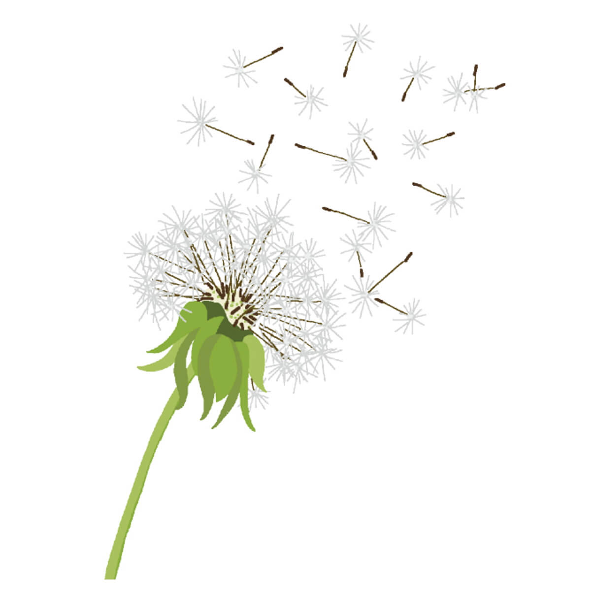 Handstickdesign Dandelion (Download)