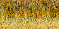 316_6007